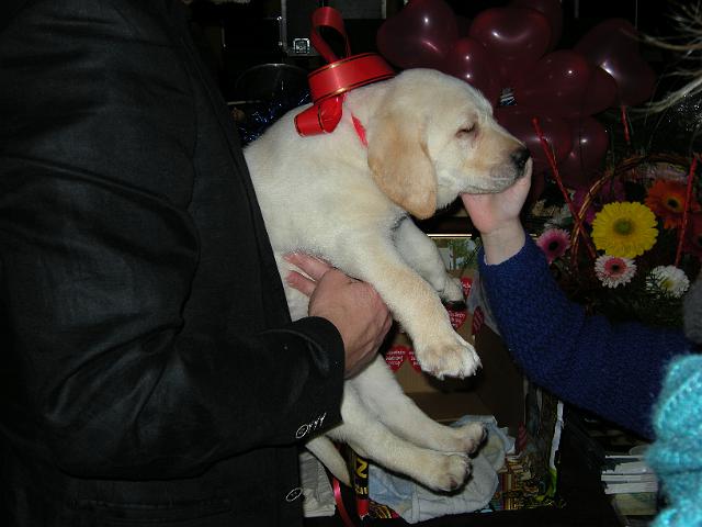 DSCN1003.JPG